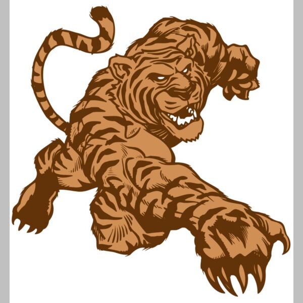 AR TIGER 56 RC Thumbnail