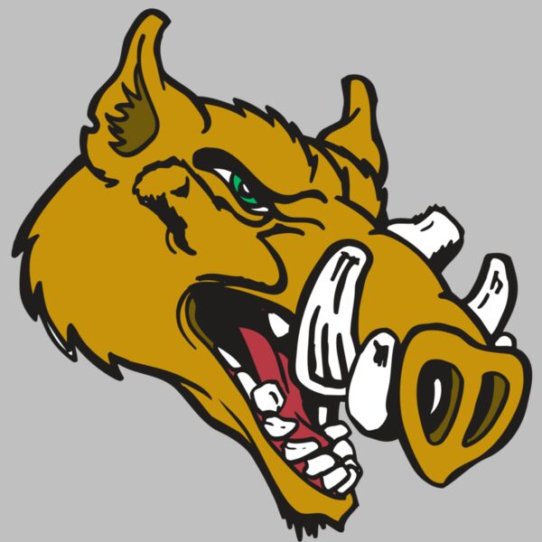 AR RAZORBACK 17 RC Thumbnail