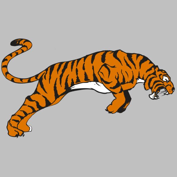 AR TIGER 79 RC Thumbnail