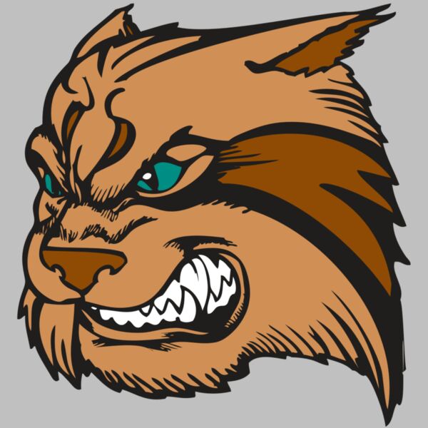 BAW WILDCAT 05 RC Thumbnail