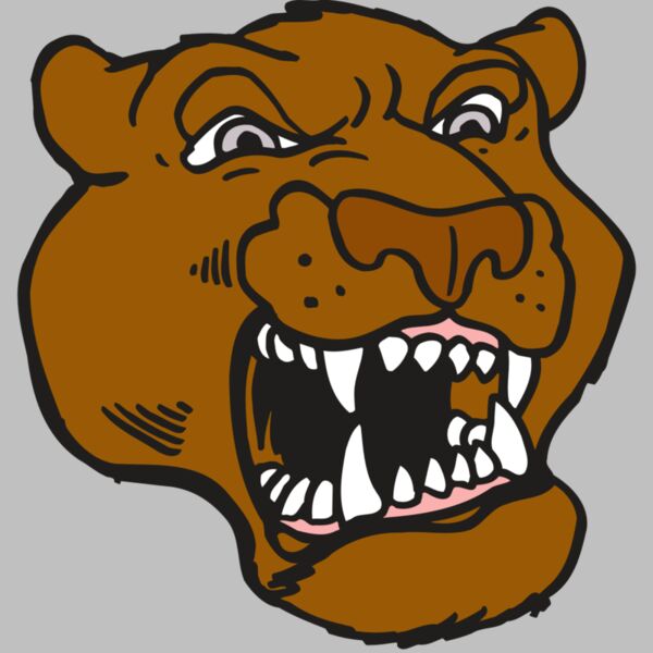 AR5 COUGAR 29 RQC Thumbnail