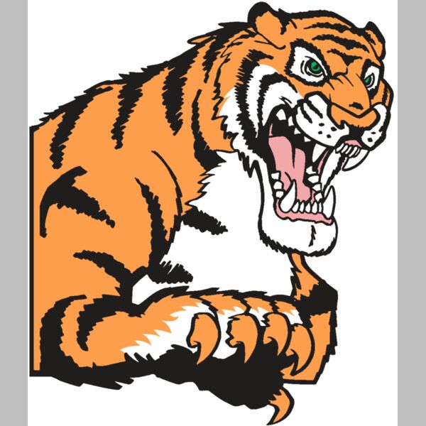 AR TIGER 10 RC Thumbnail