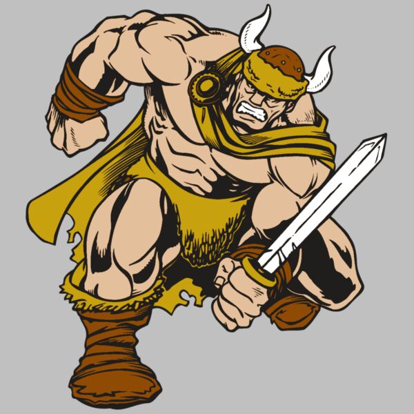 AR VIKING 35 RC Thumbnail