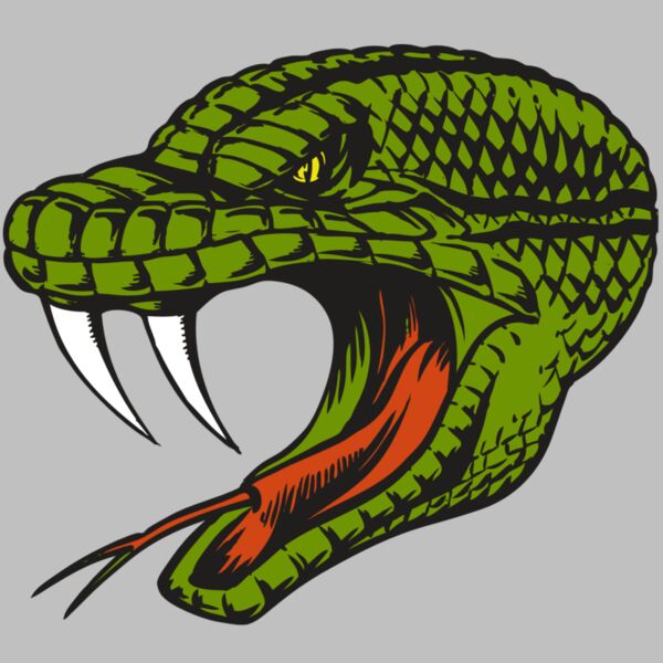 BAW SNAKE 14 RC Thumbnail