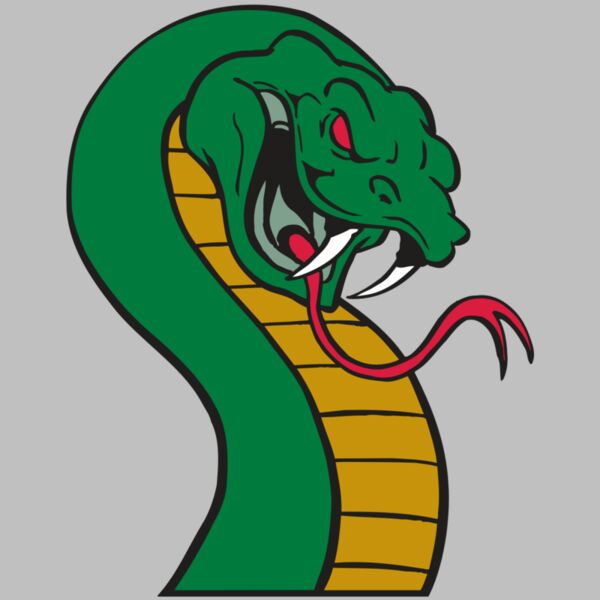 AR SNAKE 12 RC Thumbnail