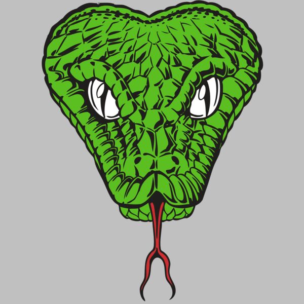 BAW SNAKE 08 RC Thumbnail