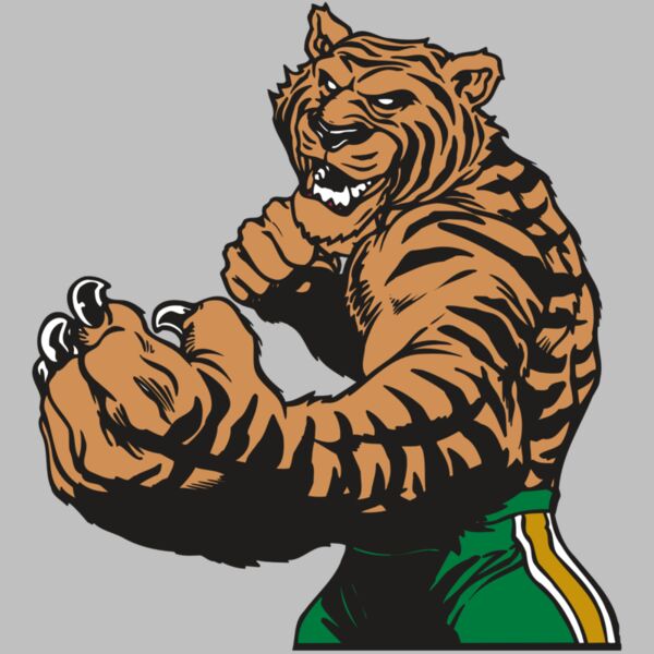 AR TIGER 64 RC Thumbnail