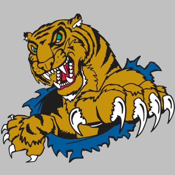 AR TIGER 69 RC Thumbnail