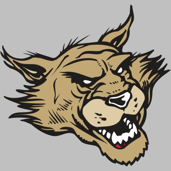 AR WILDCAT 39 RC Thumbnail