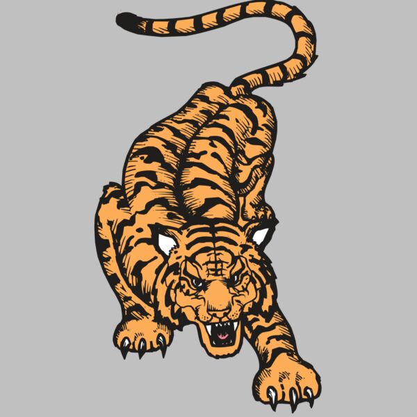 BAW TIGER 01 RC Thumbnail