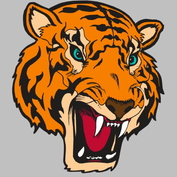 BAW TIGER 12 RC Thumbnail