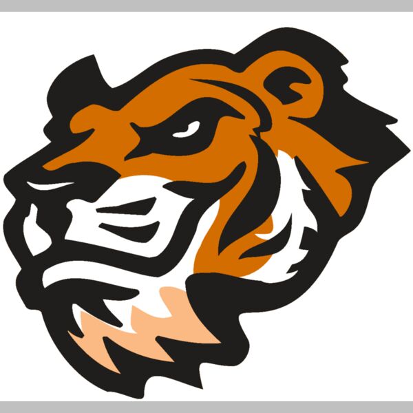 AR TIGER 21 RC Thumbnail