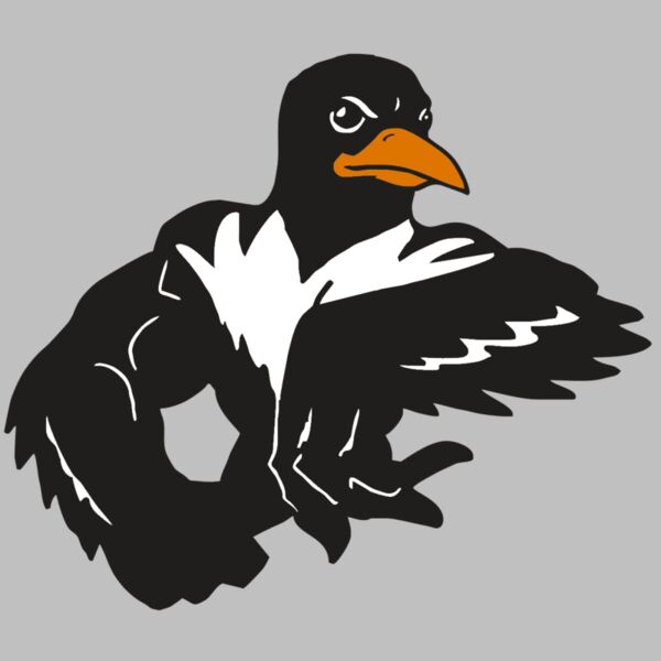 AR ORIOLE 22 RC Thumbnail