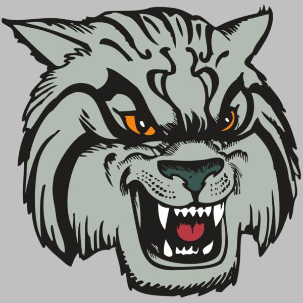 BAW WILDCAT 03 RC Thumbnail