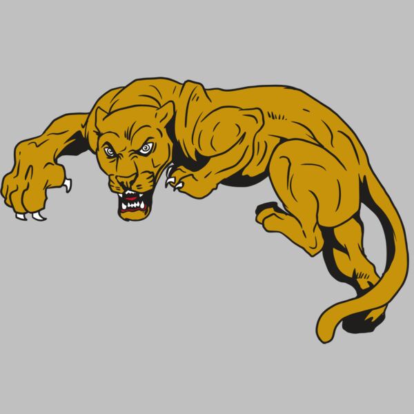 AR10 PANTHER 02 RQC Thumbnail