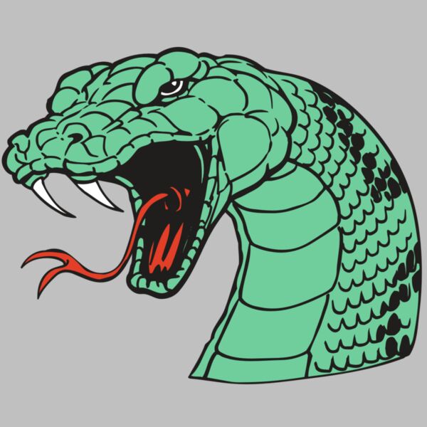 AR SNAKE 10 RC Thumbnail