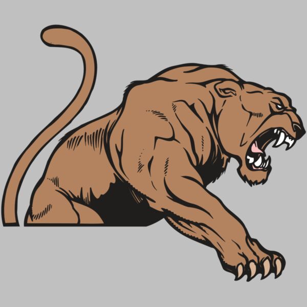 AR COUGAR 55 RC Thumbnail