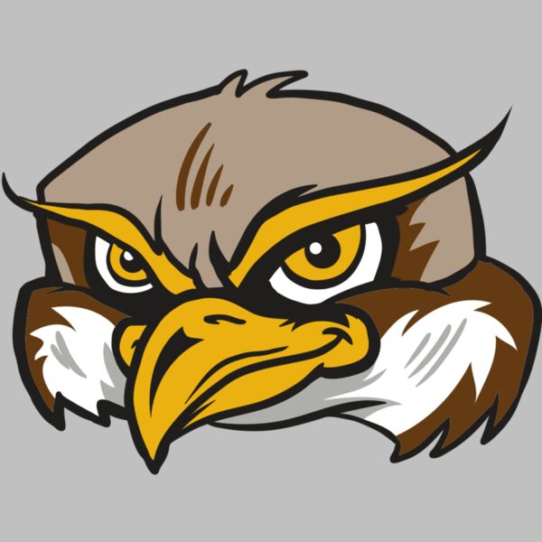 AR12 OWL 02 RQC Thumbnail