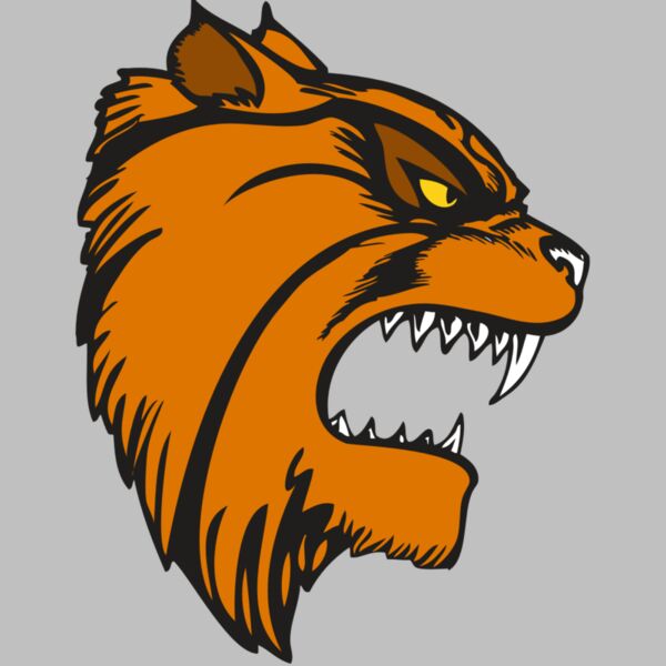 BAW WILDCAT 08 RC Thumbnail