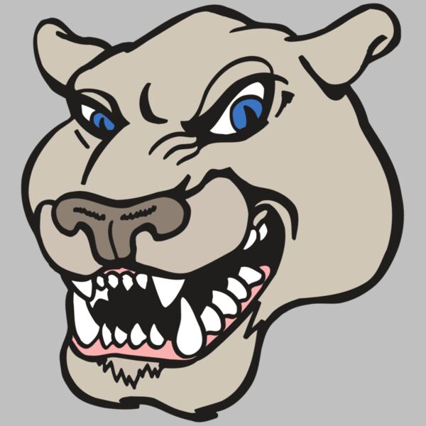 AR5 COUGAR 10 RQC Thumbnail