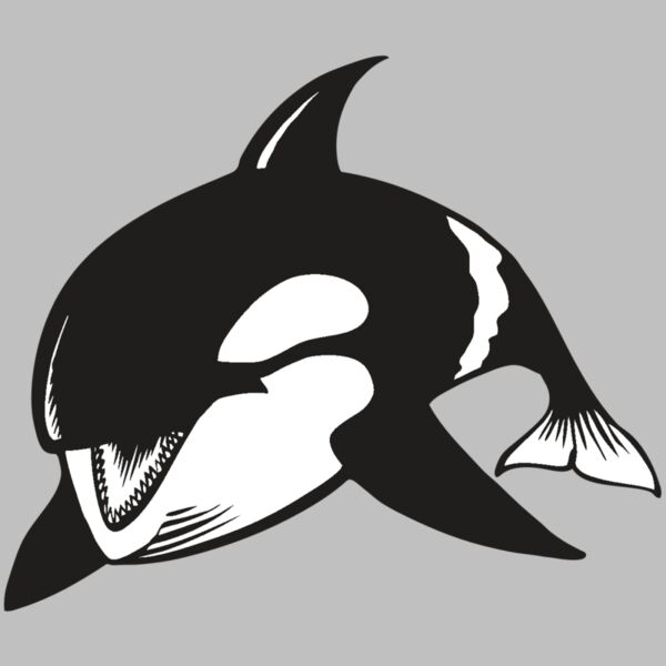 BAW KLRWHALE 04 RC Thumbnail