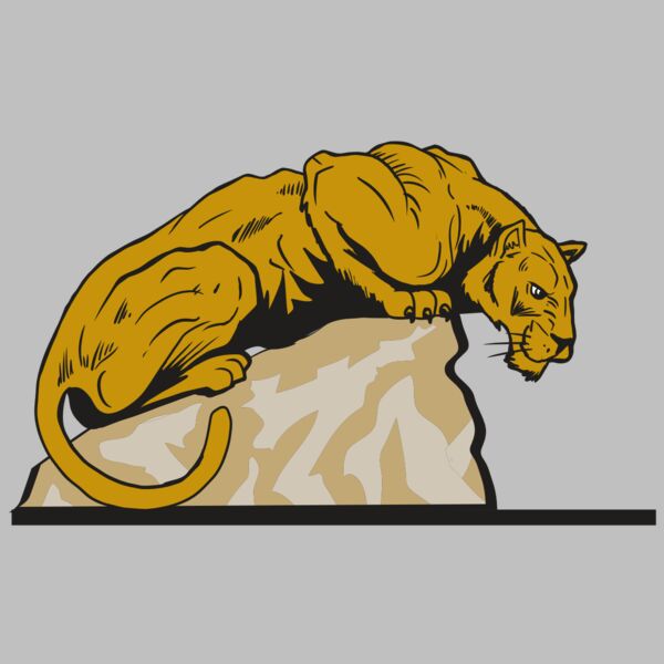 AR10 PANTHER 01 RQC Thumbnail