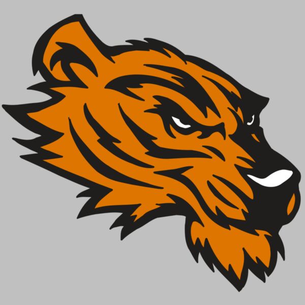 AR5 Tiger 05 RQC Thumbnail