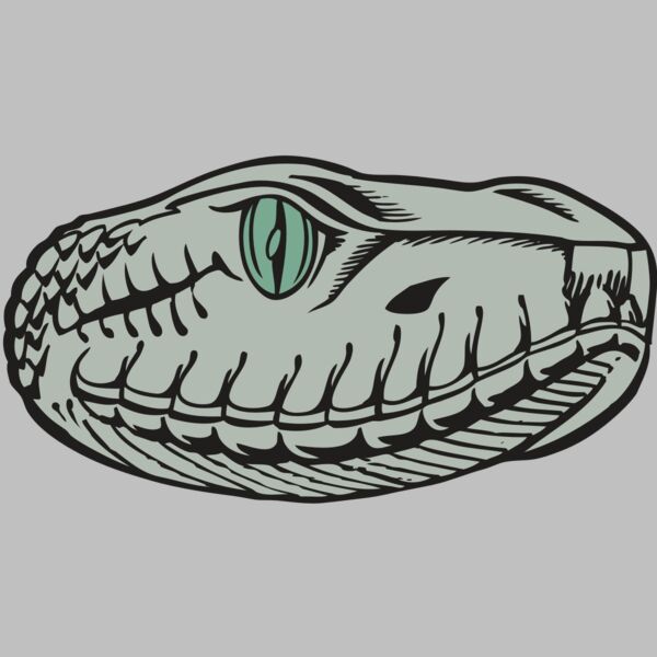 BAW SNAKE 10 RC Thumbnail