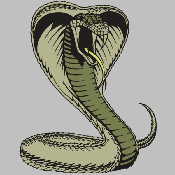 BAW SNAKE 07 RC Thumbnail