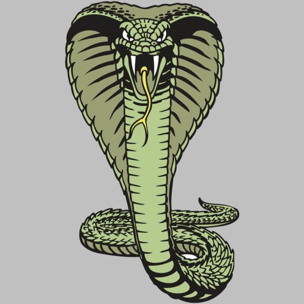 BAW SNAKE 15 RC Thumbnail