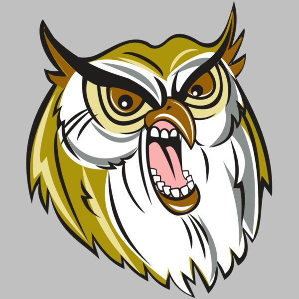 OWL HD0501 RQC Thumbnail