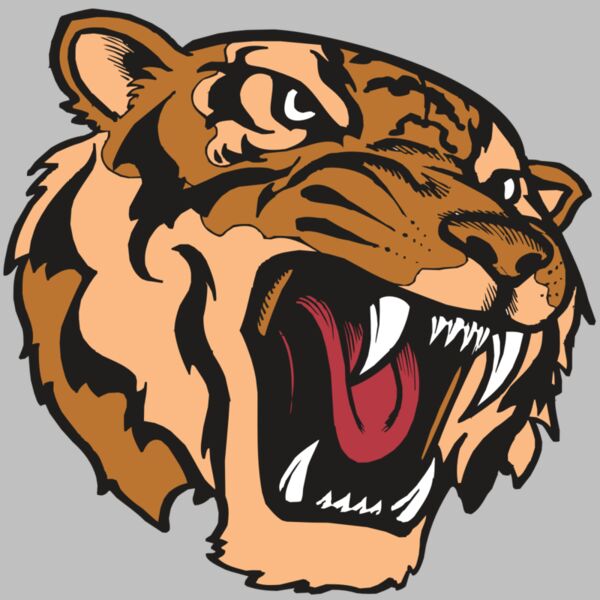 BAW TIGER 07 RC Thumbnail