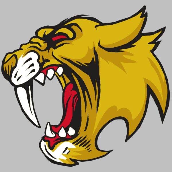 AR30 SABER 04 RQC Thumbnail