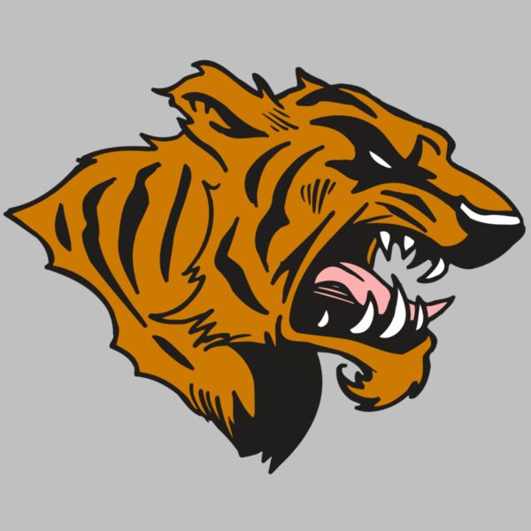 AR5 TIGER 08 RQC Thumbnail