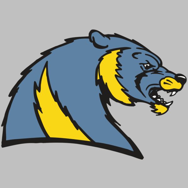 AR5 Wolverine 20 RQC Thumbnail