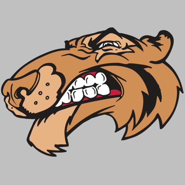 AR5 Tiger 13 RQC Thumbnail