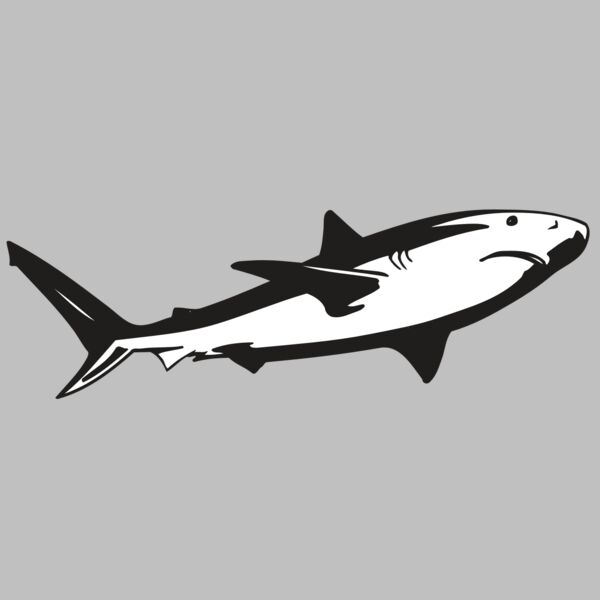 AR5 Shark 15 RQC Thumbnail