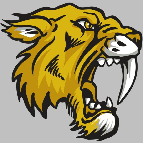 AR30 SABER 03 RQC Thumbnail