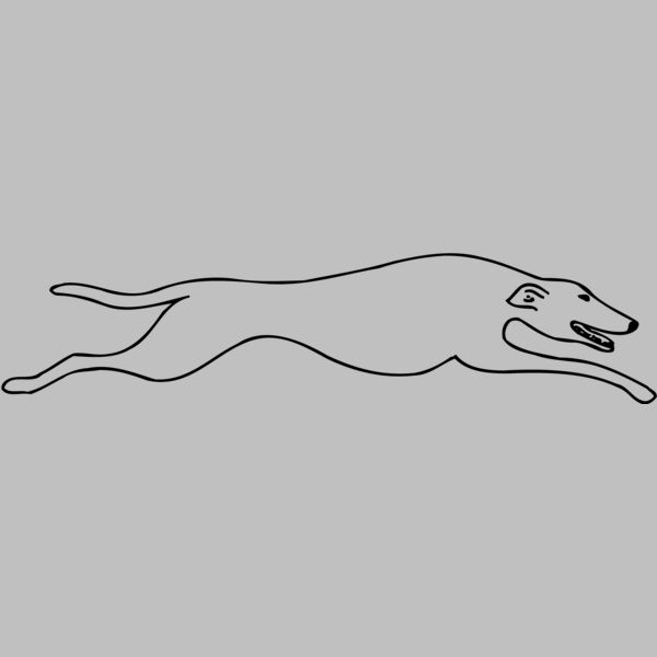 DOG078 Thumbnail