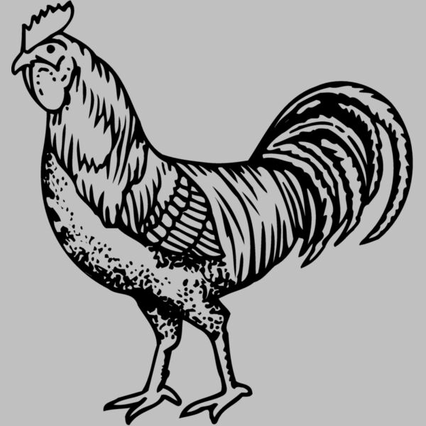 CHICK002 Thumbnail