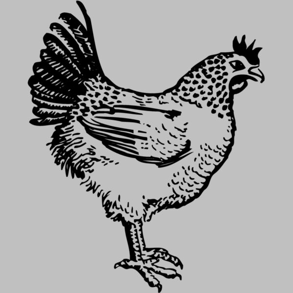 CHICK009 Thumbnail