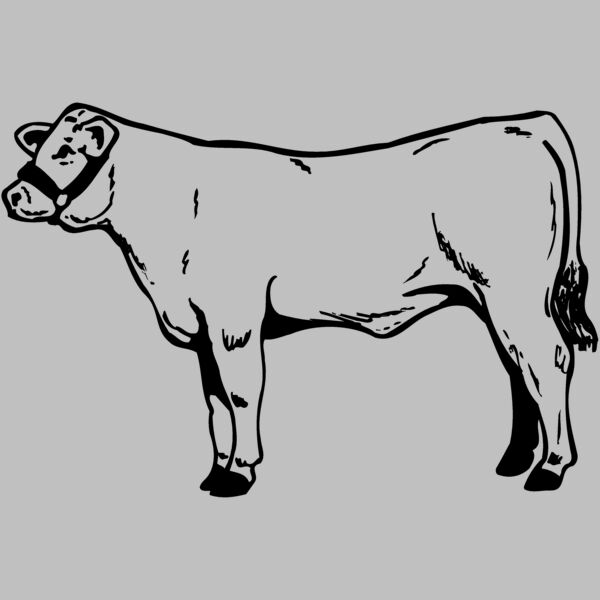 COW017 Thumbnail