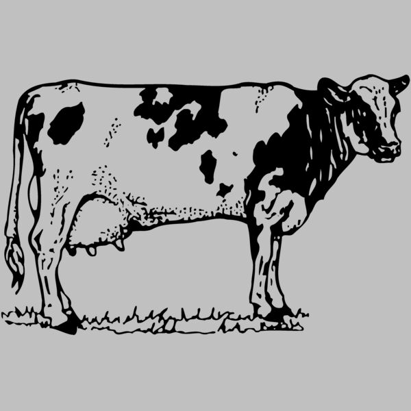COW026 Thumbnail