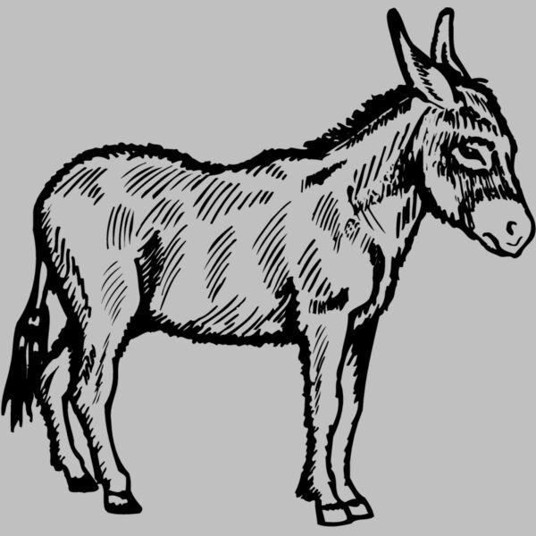 BURRO006 Thumbnail