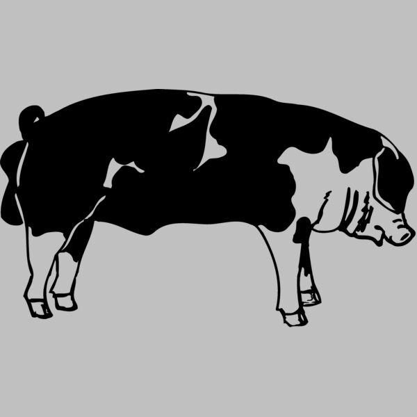 HOG0003 Thumbnail