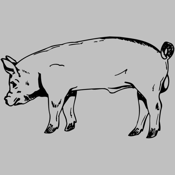 HOG0006 Thumbnail