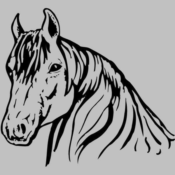 HORSE006 Thumbnail