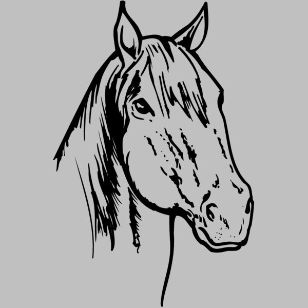 HORSE011 Thumbnail