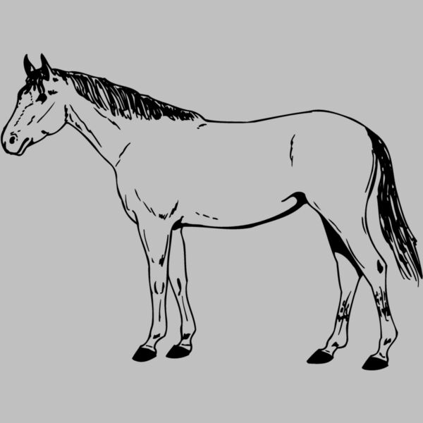 HORSE024 Thumbnail