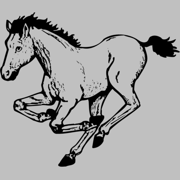 HORSE043 Thumbnail